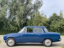 Image result for Cobalt Blue 1966 Alfa-Romeo