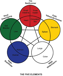 Classical Five Element Acupuncture The Law Of Five Elements