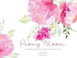 Watercolour Pink Peony Flowers Flower Clipart Pink Watercolor Flower Watercolor Clipart