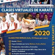 Profile for Rita Tapia