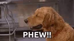 Phew Dogs Gif Phew Dogs Discover Share Gifs Dog Gif Dog Animation Dogs