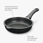 The World's Best Nonstick Frying Pan