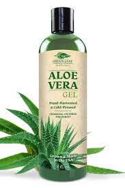 How To Use Aloe Vera For Hair 2021 Can Aloe Vera Help Hair Loss green leaf naturals aloe vera gel