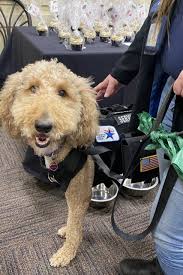 BAH debuts hospital's first therapy dog for first responders