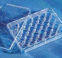 3524 | Costar® 24-well Clear TC-treated Multiple Well Plates ...