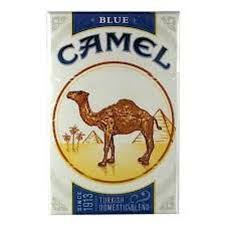 Camels form the genus camelus. Camel Blues By Blue Rivera