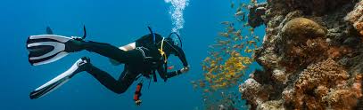 Use our directory to help you find a local scuba diving business to get certified, or even one of the biggest questions when it comes to scuba diving is when to get started with the sport. Where To Find The Best Dive Sites In Australia