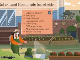 Be smart if you do your own pest control. 8 Natural Homemade Insecticides Save Your Garden Without Killing The Earth