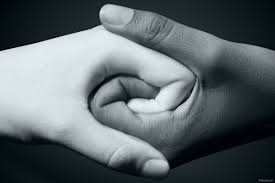 Check spelling or type a new query. Black Hand Shaking White Hand Stock Photo Our Photography Portfolio