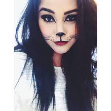 Pin By Pamela Rufino On Makeup And Beauty Tips Cat Halloween Makeup Halloween Costumes Makeup Cat Makeup
