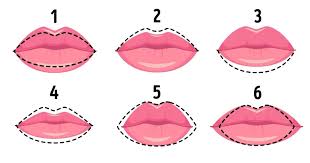 Scientists Reveal What The Shape Of Your Lips Says About You the shape of your lips says about