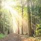 Sharing Your Light with the World: Sing HU to Reach Your True Potential