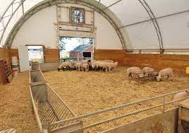 Sheep Barn Plans Goat Design