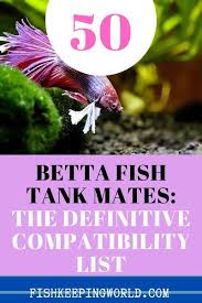 50 Betta Fish Tank Mates The Definitive Compatibility List 2020 In 2020 Betta Fish Tank Mates Betta Fish Tank Betta Tank Mates