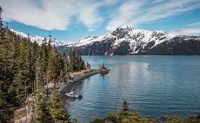 People come from all over the world to whale watch in seward, see glaciers calve in kenai fjords. Kenai Peninsula Road Trip The Adventures Of Nicole