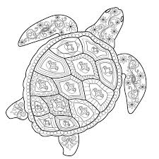 Aqui você encontra muitos desenho de tartaruga para colorir, pintar e imprimir. Terapia Da Cor Uma Tartaruga De Mar Do Livro Para Colorir Do Anti Esforco Ilustracao Do Vetor Ilustracao De Ziguezague Flora 125730728