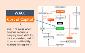 Check spelling or type a new query. Authorised Capital How It Is Different From Paid Up Capital Getmoneyrich