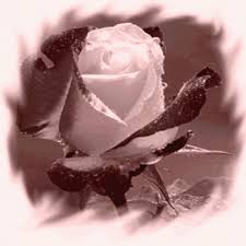 Borders and frames decoupage flowers love flowers flowers gif good morning greetings rose glitter graphics i wallpaper. Rose Flower Gif Roses Flowers Animated Gif Free Download