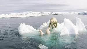 A klímaváltozás korábban már emberfajokat törölt el a föld színéről. A Magyarok Szerint Is A Klimavaltozas Az Egyik Legfontosabb Problema 24 Hu