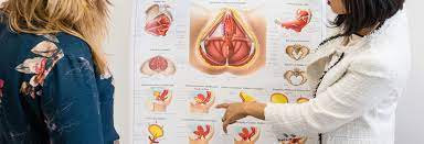 To review the literature on pgad, identify possible causes of the disorder, and provide. Persistent Genital Arousal Disorder Pelvic Rehabilitation Medicine
