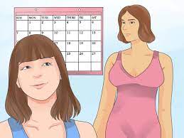 Den Busen Schneller Wachsen Lassen Wikihow