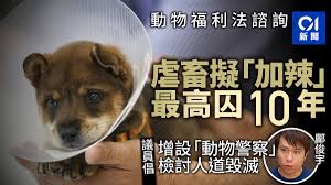 【 拘捕一男 • 殘酷對待動物 • 案情簡報 】. å‹•ç‰©ç¦åˆ©æ³•æ˜Žèµ·è«®è©¢è™å¾…å‹•ç‰©è€…æˆ–æ°¸ä¹…å–ªé£¼é¤Šè³‡æ ¼ æœ€é«˜å›š10å¹´ é¦™æ¸¯01 ç¤¾æœƒæ–°èž