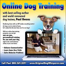 Using games with the crate is especially helpful since many dogs aren't initially happy with being confined. Dog Training Books Dog Training Dvds The Original Dog Whisperer