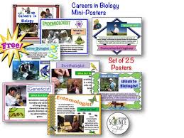 Careers In Science Free Display Posters Classroom Freebies Classroom Freebies Teaching Middle School Science Science Classroom