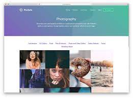Better than any royalty free or stock photos. 20 Free Wordpress Gallery Plugins 2021 Colorlib