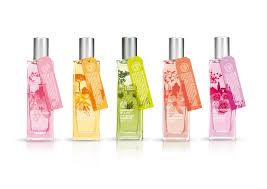 La Maison De La Vanille Vanille Sauvage De Madagascar Design Packaging Pour The Body Shop En Freelance Creasenso