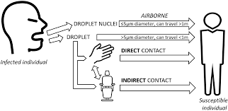 Ijerph Free Full Text The Severe Acute Respiratory Syndrome Coronavirus 2 Sars Cov 2 In Dentistry Management Of Biological Risk In Dental Practice
