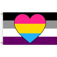 Maybe you would like to learn more about one of these? Asexual Panromantic Combo Flag 3x5 Ft Printed Polyester Large Gay Pride Lgbt Flag Flags Banners Accessories Aliexpress
