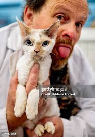 14 Saucy Nancy Stock Photos, High-Res Pictures, and Images