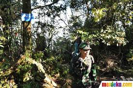 Pesawat sukhoi nahas tersebut awalnya sedang melakukan demonstrasi pesawat tipe baru, namun tanpa sebab yang jelas pesawat tersebut diketahui menabrak tebing batu gunung. Foto Serpihan Sukhoi Tampak Di Lereng Gunung Salak Merdeka Com
