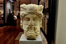 Image result for Janusia mediterranea