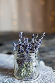 Ich mag aber lavendel und auch oleander sehr gerne und würde diesen gerne in der wohnung halten. Diy Antimuckenspray Und Andere Wirkungsvolle Mittel Kids Adventure More