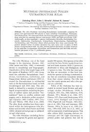 Image result for Pasaccardoa grantii