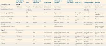 Image result for Enterobacteriaceae