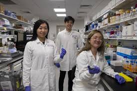 We, supported by the singapore business federation, have also enhanced the business continuity guide for enterprises to support you in developing your plans. Ntu Singapore Study Investigates Link Between Covid 19 And Risk Of Blood Clot Formation Eurekalert Science News