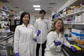 Singapore coronavirus update with statistics and graphs: Ntu Singapore Study Investigates Link Between Covid 19 And Risk Of Blood Clot Formation Eurekalert Science News