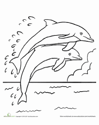 Dolphin Coloring Pages Education Com Carefully curated designs will provide hours of fun, stress relief dolphin coloring book!discover this dolphin coloring book with a unique collection of pages. dolphin coloring pages education com
