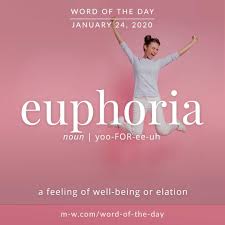 Word Of The Day Euphoria English Vocabulary Words Word Of The Day Words