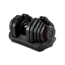 40kg Dumbbells Adjustable Dumbbell Weight Plates Home Gym Exercise In 2021 Adjustable Dumbbell Set Adjustable Dumbbells Dumbbell Set
