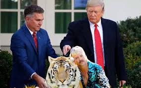 Murder, mayhem and madness (titled onscreen as simply tiger king) is a 2020 american true crime documentary streaming television miniseries about the life of zookeeper joe exotic. President Trump Won T Pardon Netflix S Tiger King Sportsbook Odds Predict