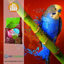 Pets Family Muhabbet Yemi Stoklarimizda Yetiskin Muhabbet Kuslari Icin Tam Yem Petsfamily Petgarden Birs Muhabbet Kuslari Kus