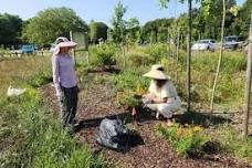 Edgewood Preserve Native Garden Maintenance
