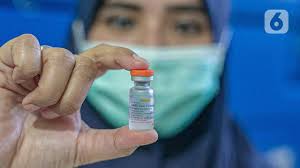 China was ahead in the global race to develop coronavirus vaccines with the most candidates in late stage of trials earlier in the year and its first approval of a homemade shot. Bagaimana Cara Kerja Vaksin Sinovac Dalam Membentuk Kekebalan Tubuh Manusia Health Liputan6 Com