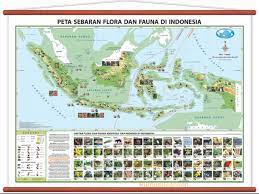 Jumlah flora dan fauna di indonesia yang hampir punah memang sudah sangat memprihatinkan. Peta Persebaran Flora Dan Fauna Di Indonesia Contoh Gambar