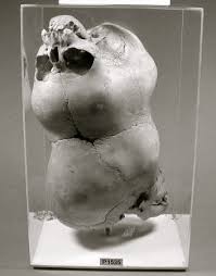 Twin Jpg 353 451 Santa Muerte Muerte