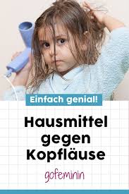 Was Tun Gegen Kopflause Geniale Hausmittel Die Wirklich Helfen Kopflause Hausmittel Kinder Gesundheit